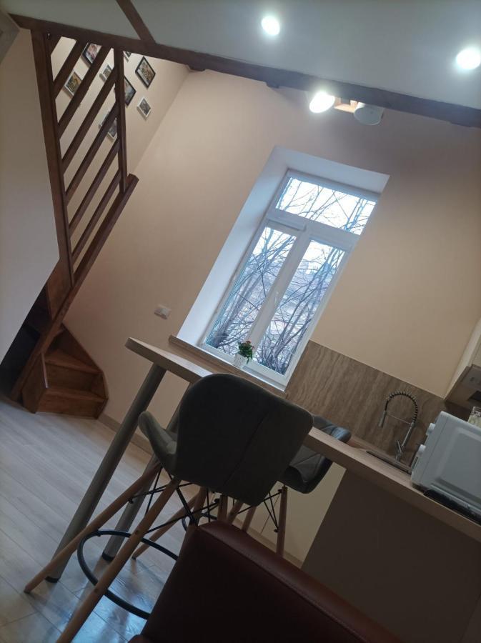 Chorni Vivtsy Apartman Csernyivci Kültér fotó