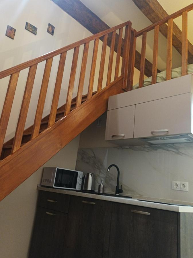 Chorni Vivtsy Apartman Csernyivci Kültér fotó