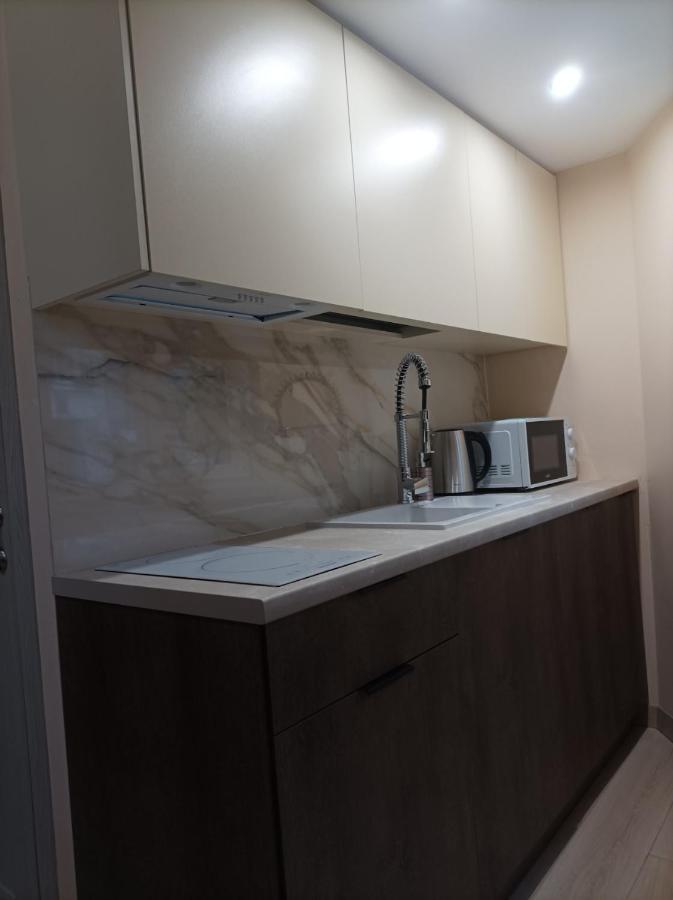 Chorni Vivtsy Apartman Csernyivci Kültér fotó